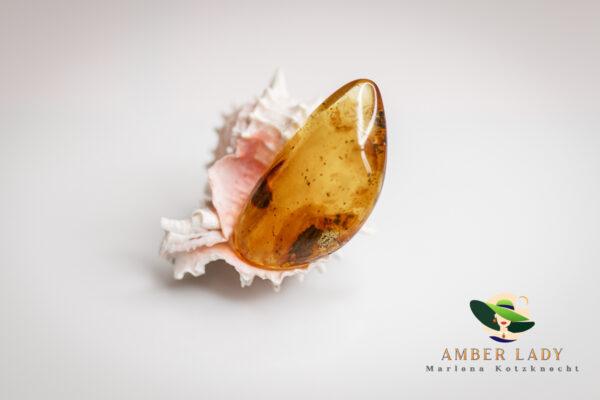 Baltic amber brooch with warm golden hues.