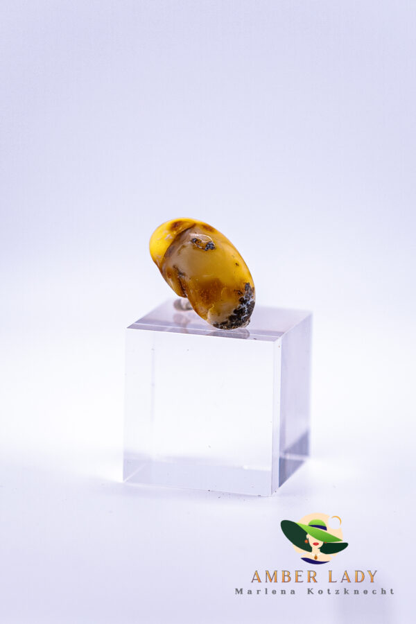 Natural baltic amber ,sterling silver ,adjustable.